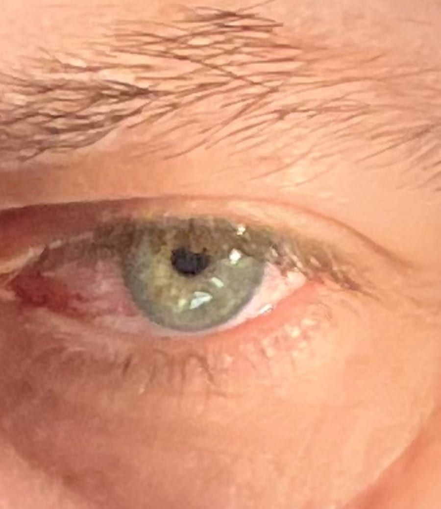 Profil de Folco, 37 ans, Gay male à Rigi Kaltbad (Lucerne)