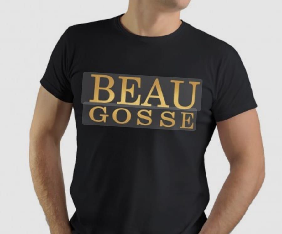 Profil de Scipion, 29 ans, Gay male à Dizy (Vaud)